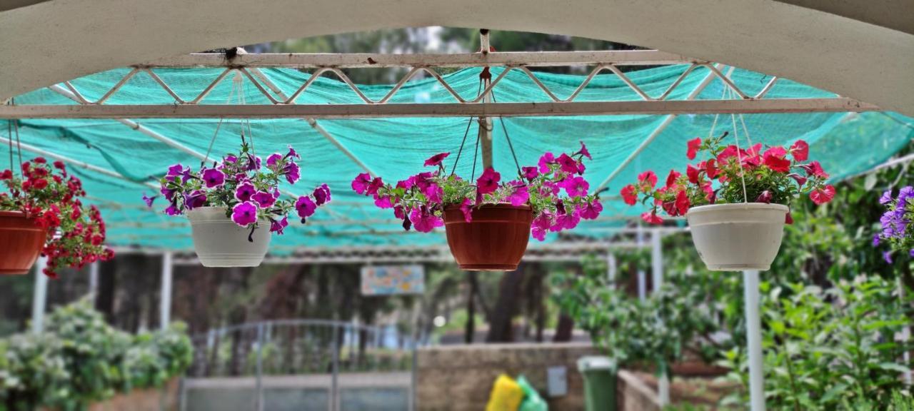 סטארי גראד Apartments 1000 Flowers מראה חיצוני תמונה