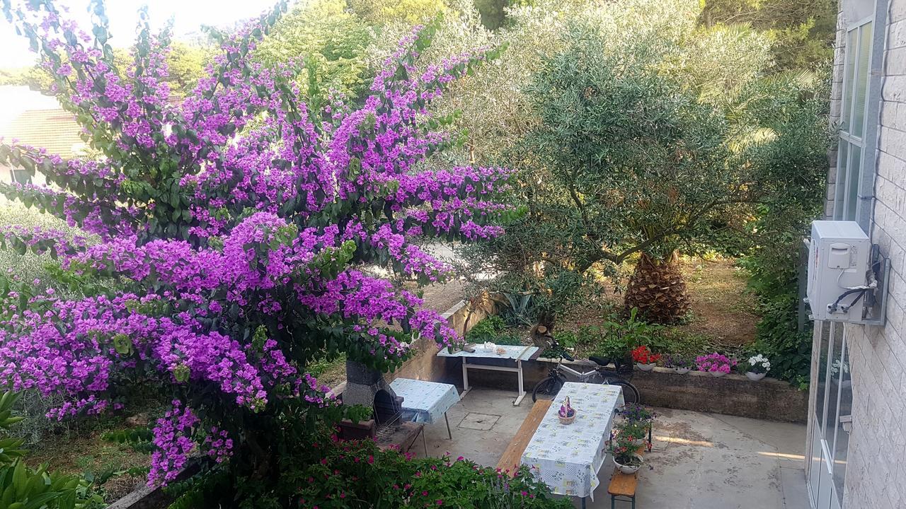 סטארי גראד Apartments 1000 Flowers מראה חיצוני תמונה